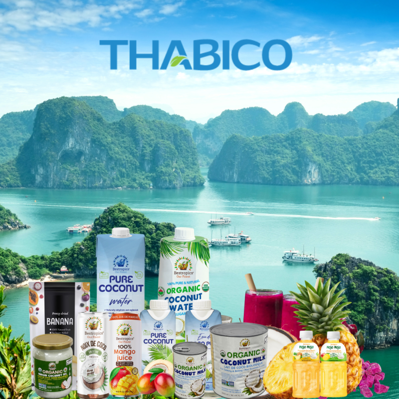 Copy of Best Tropics Banners and Image collection (1080 x 1080 px)